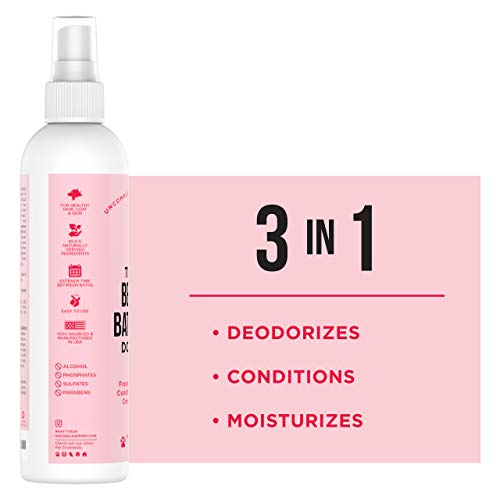  Natural Rapport Female Dog Cologne Spray With Floral & Coconut Scent - The Only Between Bath Spray Dogs Need - Convenient, Between-Bath Dog Deodorant Spray And Pet Urine Odor Eliminator Perfume (Female, 8 Fl Oz.)