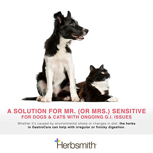  Herbsmith GastroCare - For Cats & Dogs With Sensitive Stomachs - Cat And Dog Digestive Support - Ease Canine And Feline Sensitive Stomach - 75g