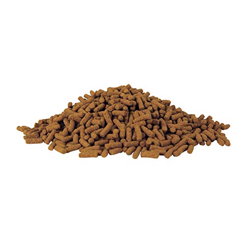  TetraPond Koi Growth 4.85 Pounds, Soft Sticks, Pond Fish Food