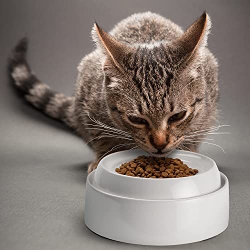  CatGuru Cat Bowls, Whisker Stress Free Food Bowl, Reliefs Fatigue, Wide Non Slip Shallow Dish, Feeding & Watering Supplies (Set Of 2, Marshmallow)