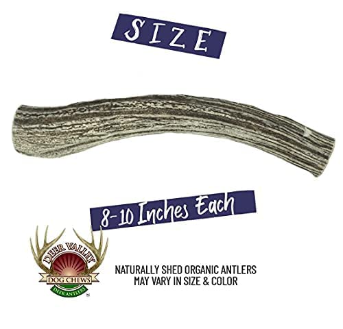  Deer Valley Dog Chews (Giant Single, 8-10 Inches) - Sustainably-Sourced Deer Antler For Extra Large Breeds - Durable And Enticing Chew Toy For Aggressive Chewers