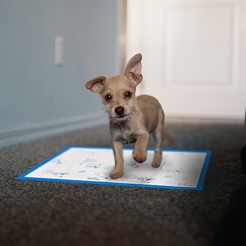  TCOELLSDTS Disposable Puppy Training Pads For Puppies And Training Dogs, Puppy Pads Small, Absorbent & Leak Proof, 6-Layer, Training Pads, Dog Print, 13"x17", Pack Of 40