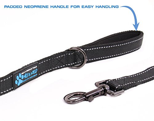  Max And Neo Reflective Nylon Dog Leash - We Donate A Leash To A Dog Rescue For Every Leash Sold (Purple, 4x1)