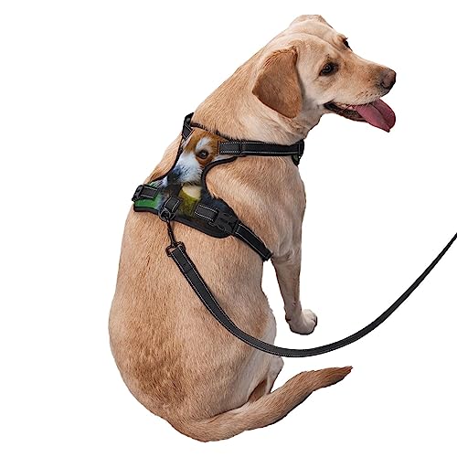  Pet Dog Vest Harness Set Red Panda Eat Food Dog Harness For Small Medium And Large Dogs