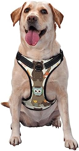  Food Illustration No Pull Dog Harness Adjustable Puppy Harness Reflective Dog Vest Harness Wear-Resistant Oxford Cloth Dog Harness With Leash For Small Medium Large Dogs