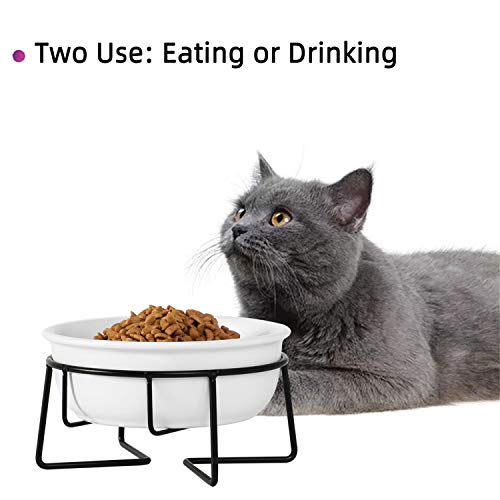  Ceramic Raised Cat Dishes Or Small Dog Bowl With Metal Stand 12 Ounces, Pet Food Or Water Bowls, White