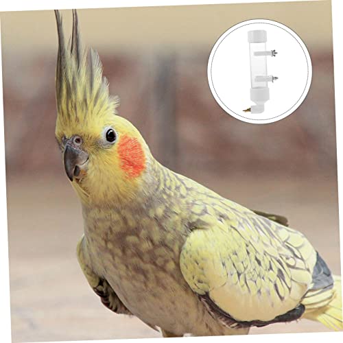  Mipcase 1pc Parrot Drinking Fountain Pet Stuff Outdoor Cage Squirrel Food Automatic Water Drinker Bird Water Bowl Automatic Pigeon Drinkers Automatic Bird Waterer Pet Birds Water Container