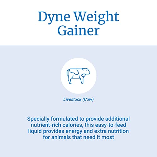  PetAg Dyne High-Calorie Liquid Nutritional Supplement For Livestock - Provides Energy And Extra Nutrition - Contains Soybean Oil & Vitamins - 128 Fl Oz (1 Gal)