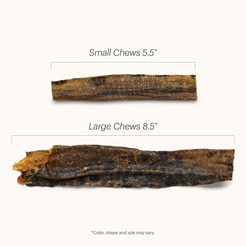 The Honest Kitchen Ocean Chews Hearty Wolffish Skins Dog Treats, 6 Oz (Beams)