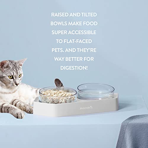  McLovin's 8 Degree Tilted Design Slanted Dual Angled Bowl For Dogs And Cats - Grey Tilted Dog Food Bowl Pet Feeder With Non-Skid & Non-Spill Design - Easier To Reach Food And Improve Digestion