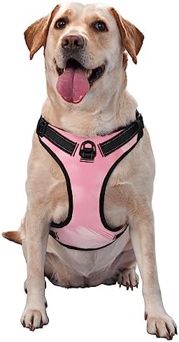  Food Illustration No Pull Dog Harness Adjustable Puppy Harness Reflective Dog Vest Harness Wear-Resistant Oxford Cloth Dog Harness With Leash For Small Medium Large Dogs