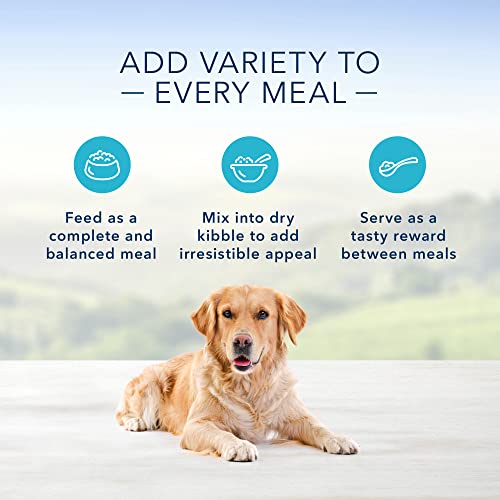  Blue Buffalo Blue's Stew Natural Adult Wet Dog Food, Chicken Stew 12.5-oz Can (Pack Of 12)