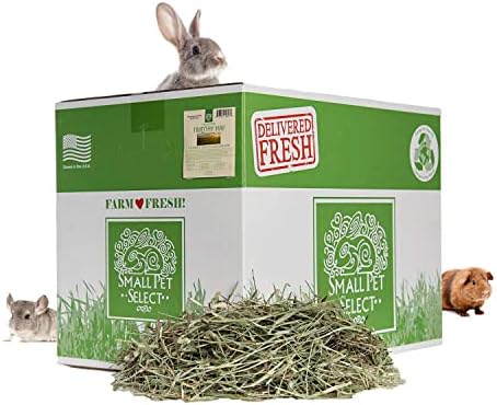  Small Pet Select 2nd Cutting Perfect Blend Timothy Hay Pet Food For Rabbits, Guinea Pigs, Chinchillas And Other Small Animals, Premium Natural Hay Grown In The US, 10 LB