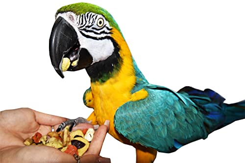  Birds LOVE All Natural Garden Blend Bird Food For Parrots 2lb