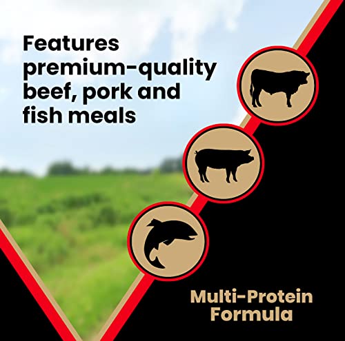 Victor Super Premium Dog Food – Grain Free Active Dog & Puppy – Dry Dog Food With 33% Protein, Gluten Free - For High Energy Dogs, 30lbs