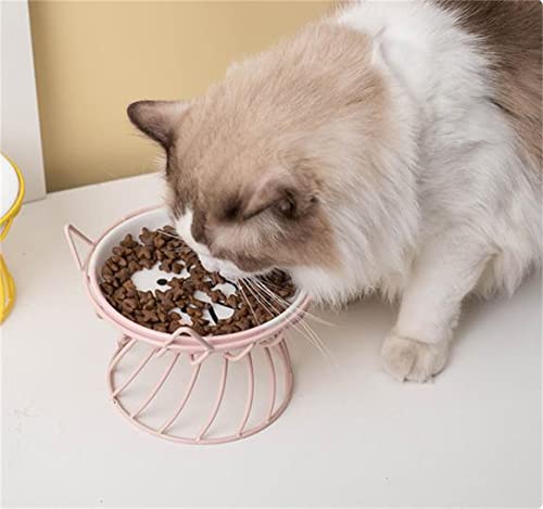  Shiningirl Raised Cat Food Bowls Ceramic Cat Bowl With Metal Stand Elevated Cat Feeding Bowl Cat Dish With Non-Slip Mat Pet Food Bowl For Cats And Small Dogs
