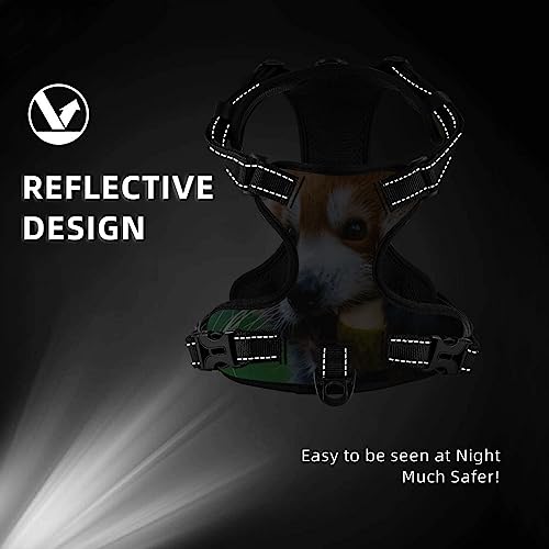  Pet Dog Vest Harness Set Red Panda Eat Food Dog Harness For Small Medium And Large Dogs
