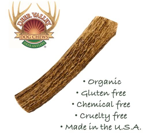  Deer Valley Dog Chews - XL & Robust 3 Pack (1lb) For Large Dogs (40-100 Lb) - All-Natural, Odor-Free Dental Treats For Healthy Teeth And Gums (Value Pack)