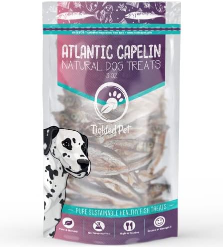  TickledPet Whole Capelin Dog Treats - Natural Single Ingredient Fish Dog Treats - Loaded With Taurine And Omegas For Healthy Skin And Coat