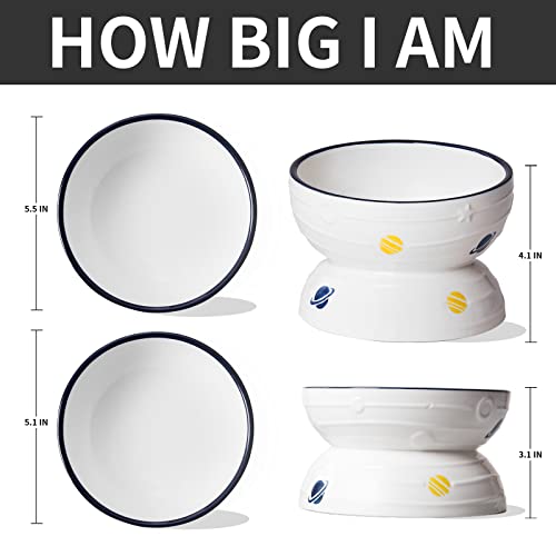  Hasense Tilted Cat Bowl Anti Vomiting, Double Raised Cat Bowls For Food And Water, Elevated Ceramic Small Dog Feeder, Protect Pet's Spine, Dishwasher Safe, Porcelain Slanted Dishes, White Set Of 2