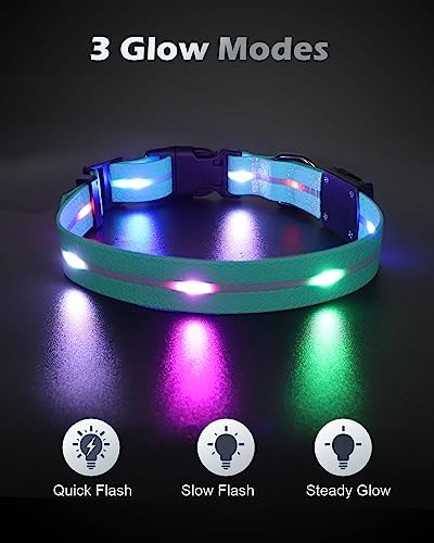  Joytale Light Up Dog Collars Rechargeable, High Visibility LED Dog Collar for Pet Night Walking, 3 Flash Modes, Rainproof PVC Glow Collar Adjustable for Small Medium Large Dogs, Teal, L