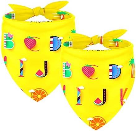  2 Pack Adjustable Dog Bandana,Soft Washable Triangle Bib Hello Summer Cute Food Ice Cream Pineapple Kerchief Scarfs For Small Medium Large Dogs And Cats
