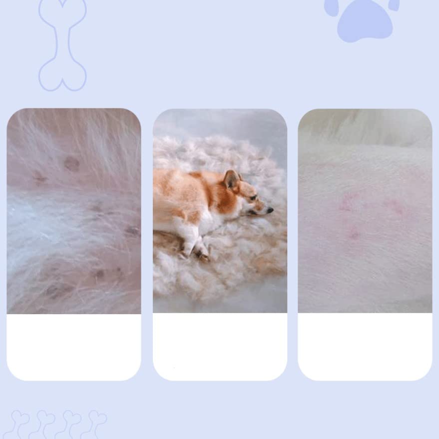  Zentric Pet Comb, Multifunctional Pet Hair Comb Flea And Tear Stain Removal, Dog Lice Comb, Flea Brush For Cats, Fine-Toothed Flea Comb For Long & Short Hair Pet (2 Sets-White)