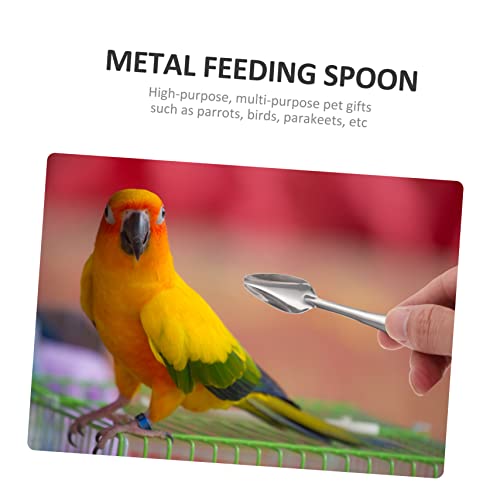  Iplusmile 3 Sets Parrot Feeding Spoon Pet Feeder Pigeon Feeder Accessories Birds Hand Food Feeder Water Feeding Tube Bird Supply Convenient Bird Spoon Bird Feeding Spoon Metal Hose