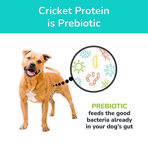  Jiminy's Dry Dog Food - Hypoallergenic Dog Food, 100% Made In The USA, Gluten-Free, Sustainable, Sensitive Stomach Dog Food, High Protein - Cravin' Cricket Insect Protein Oven-Baked Dog Food 10 Lb Bag