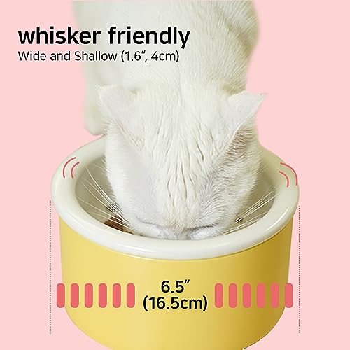  BOWLBOWL Elevated Cat Dog Bowls For Small Dogs, 6.5" Wide Raised Cat Food Bowls Whisker Friendly, Anti Vomiting Cat Bowls For Indoor Cats, No Spill Dog Bowl, Made In Korea! (3.9", Round, Pink)