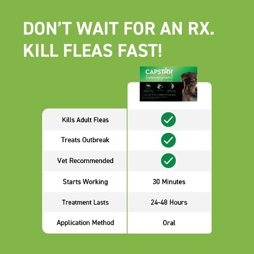  CAPSTAR (nitenpyram) Oral Flea Treatment For Dogs, Fast Acting Tablets Start Killing Fleas In 30 Minutes, Medium & Large Dogs (Over 25 Lbs), 6 Doses