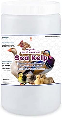  Pampered Chicken Mama Organic Chicken Kelp: Chicken Vitamins Supplement & Duck Feed Supplement 1LB