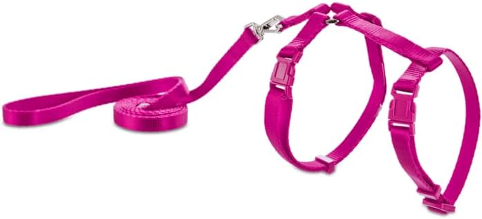  Petco Brand - Good2Go Pink Kitten Harness And Lead Set, X-Small