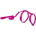  Petco Brand - Good2Go Pink Kitten Harness And Lead Set, X-Small