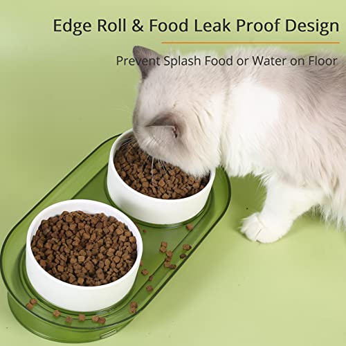  Elevated Cat Ceramic Bowls For Cats Small Dogs Or Puppies Raised Cat Bowl Stand With 2 Feeding Dishes For Food & Water 15° Tilted Anti Vomiting Stress Free Design With Anti-Slip (Tea Green)
