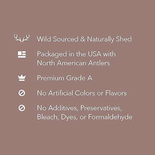  Amazon Brand - Wag Dog Elk Antler Chew, Naturally Shed, Whole, Medium 6-7.5 Inches (Best For Dogs 15-30 Lbs)