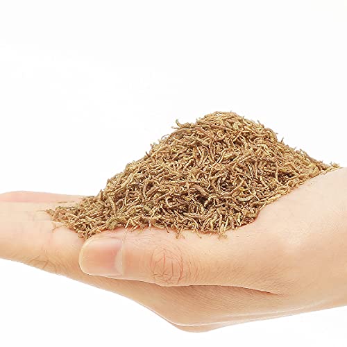  BNYEE 1.5 OZ Freeze Dried Bloodworms For Most Small To Medium Sized Fish（Larvae）
