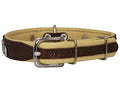  Dogs My Love Real Leather Soft Leather Padded Dog Collar Dachshund (10.5"-12" Neck; 3/4" Wide, Brown/Beige)