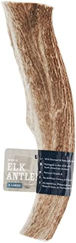  Amazon Brand - Wag Dog Elk Antler Chew, Naturally Shed, Whole, Medium 6-7.5 Inches (Best For Dogs 15-30 Lbs)