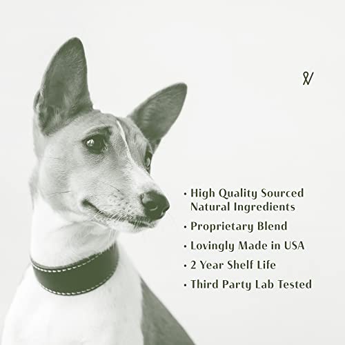  Everpath Natural Salmon Oil Omega Boost For Dogs And Cats 473 Ml / 16 Fl Oz | USA Made | Wild Norwegian Salmon Oil | Coat, Skin & Immune System Support | Natural Pet Remedy