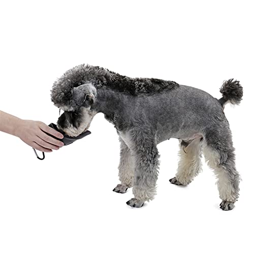  AYENCI Cat Automatic Water, Pet Dog Water Bottles Outdoor Stainless Steel Drink Bottles Puppy Drink Clean Water Feeder Storage Sport Portable