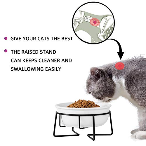  Ceramic Raised Cat Dishes Or Small Dog Bowl With Metal Stand 12 Ounces, Pet Food Or Water Bowls, White