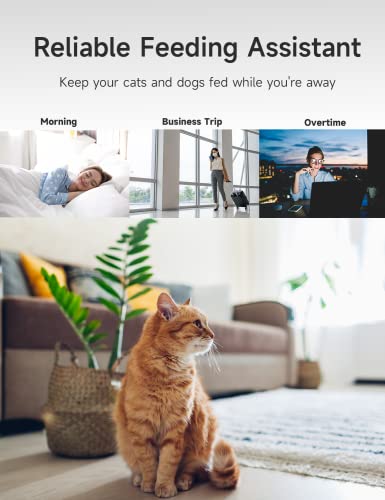  LivingEZ 6L Smart Automatic Cat Feeder For Dry Pet Food, Timed Cat Feeder Programmable Portion Control For 4 Meals Per Day, Pet Feeder With Voice Recorder For Cats And Dogs