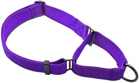 Max And Neo Nylon Martingale Collar - We Donate A Collar To A Dog Rescue For Every Collar Sold (Medium, Teal)
