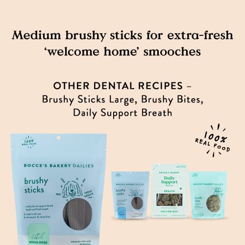  Bocce's Bakery Dailies Brushy Sticks To Support Oral Health & Fresh Breath, Wheat-Free Dental Bars For Dogs, Made With Real Ingredients, Baked In The USA, All-Natural Coconut & Mint, Medium Dogs