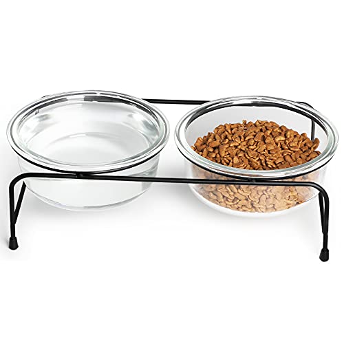  GDCZ Glass Raised Cat Or Small Dog Bowls With Heighten Metal Stand And Non-Slip Bottom For Pet Food And Water Dishes,18 Ounces Transparent