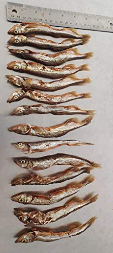  TickledPet Whole Capelin Dog Treats - Natural Single Ingredient Fish Dog Treats - Loaded With Taurine And Omegas For Healthy Skin And Coat