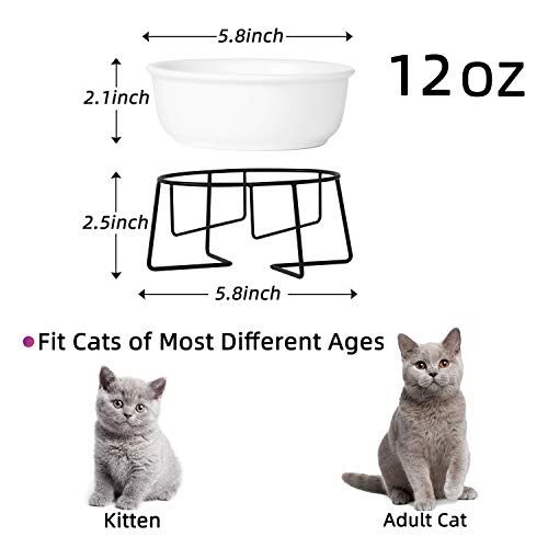  Ceramic Raised Cat Dishes Or Small Dog Bowl With Metal Stand 12 Ounces, Pet Food Or Water Bowls, White