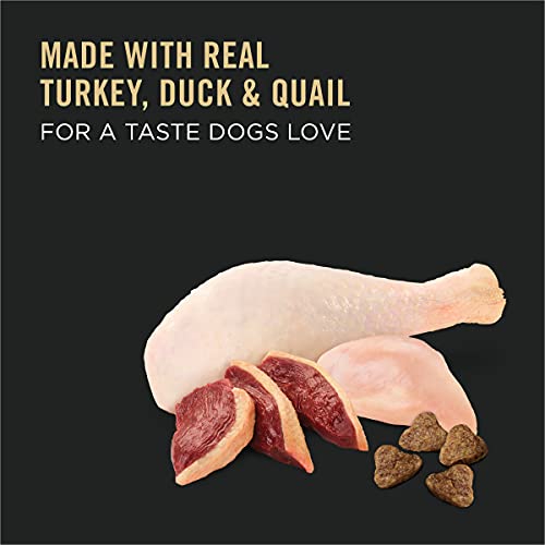  Purina Pro Plan Sport Performance 30/20 Turkey, Duck & Quail Formula Dry Dog Food - 6 Lb. Bag