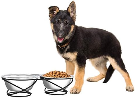  PETMAKER Stainless Steel Raised Food & Water Bowls With Decorative 6.5” Tall Stand For Dogs & Cats-2 Bowls, 40oz Each-Elevated Feeding Station,Silver